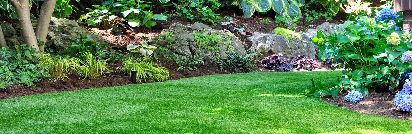 a green lawn free of mosquitoes