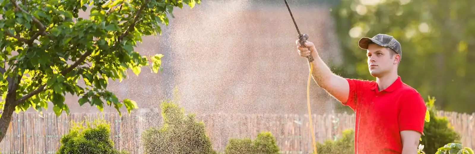 pest control technician spraying the exterior